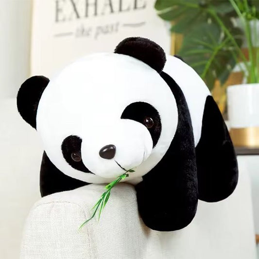 Peluche panda | Panda - bio - Calin Enfant