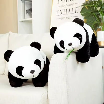 Peluche panda | Panda - bio - Calin Enfant