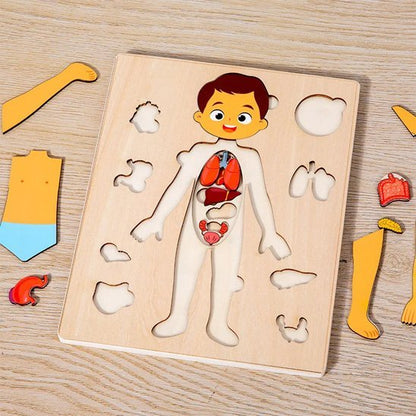 Puzzle bois | Corps Humain - Calin Enfant